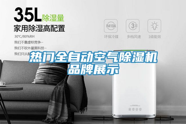 熱門全自動空氣除濕機品牌展示