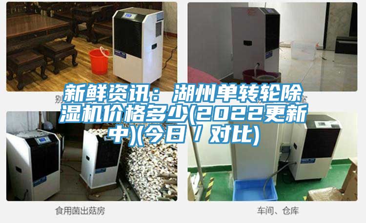新鮮資訊:湖州單轉(zhuǎn)輪除濕機價格多少(2022更新中)(今日/對比)