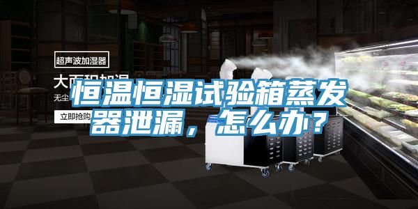 恒溫恒濕試驗箱蒸發器泄漏,怎么辦?