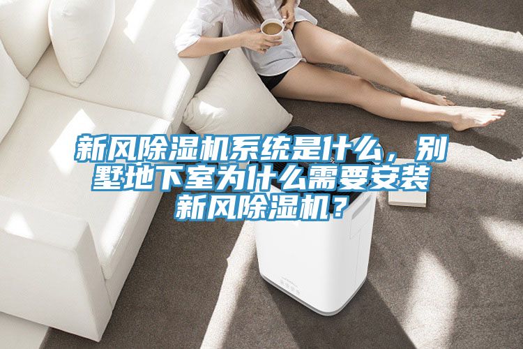 新風除濕機系統(tǒng)是什么，別墅地下室為什么需要安裝新風除濕機？