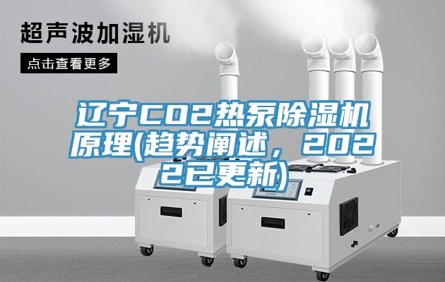 遼寧CO2熱泵除濕機(jī)原理(趨勢(shì)闡述,2022已更新)