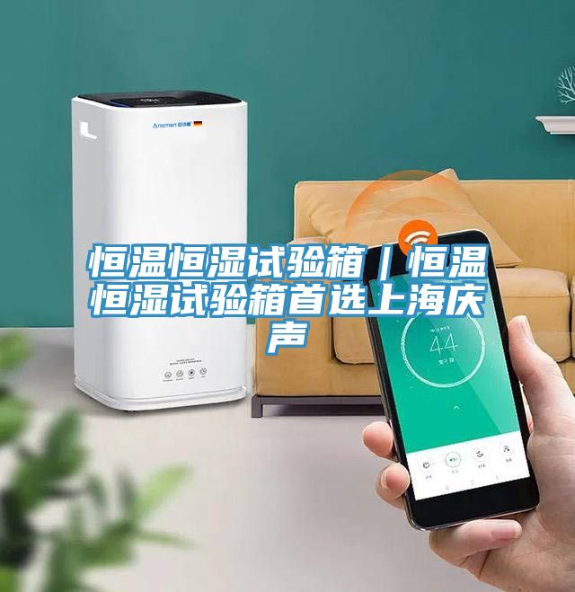 恒溫恒濕試驗(yàn)箱|恒溫恒濕試驗(yàn)箱首選上海慶聲