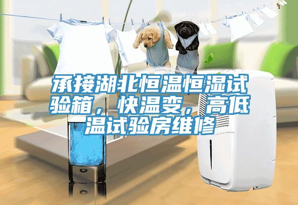 承接湖北恒溫恒濕試驗(yàn)箱,快溫變,高低溫試驗(yàn)房維修