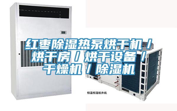 紅棗除濕熱泵烘干機/烘干房/烘干設(shè)備/干燥機/除濕機