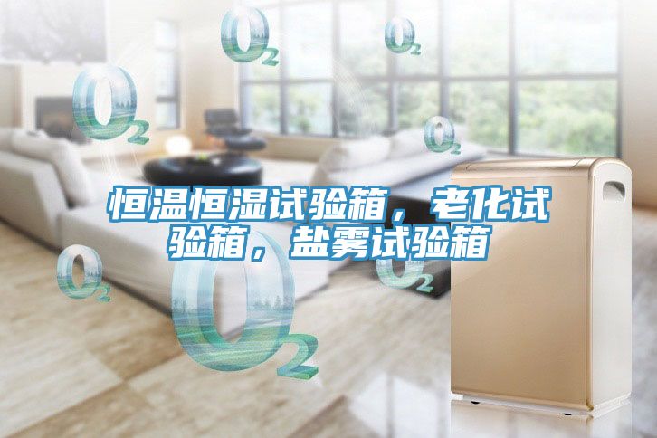 恒溫恒濕試驗(yàn)箱,老化試驗(yàn)箱,鹽霧試驗(yàn)箱