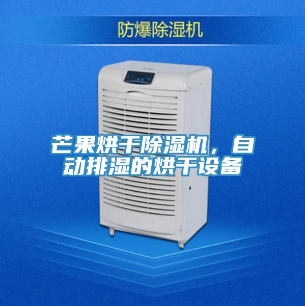 芒果烘干除濕機,自動排濕的烘干設備
