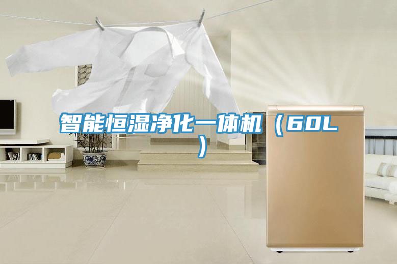 智能恒濕凈化一體機(60L)