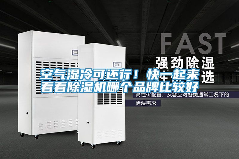 空氣濕冷可還行！快一起來(lái)看看除濕機(jī)哪個(gè)品牌比較好