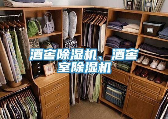 酒窖除濕機(jī)、酒窖室除濕機(jī)