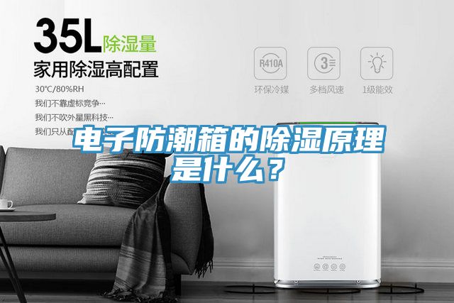 電子防潮箱的除濕原理是什么？