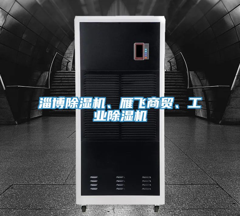 淄博除濕機(jī)、雁飛商貿(mào)、工業(yè)除濕機(jī)