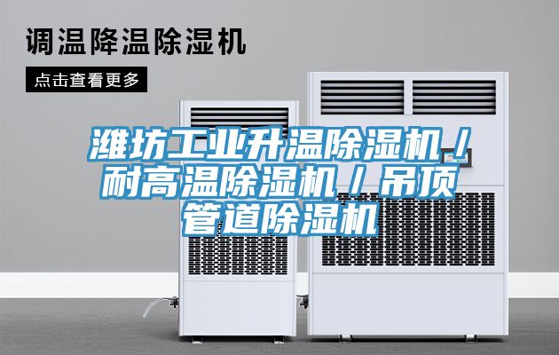 濰坊工業升溫除濕機/耐高溫除濕機/吊頂管道除濕機