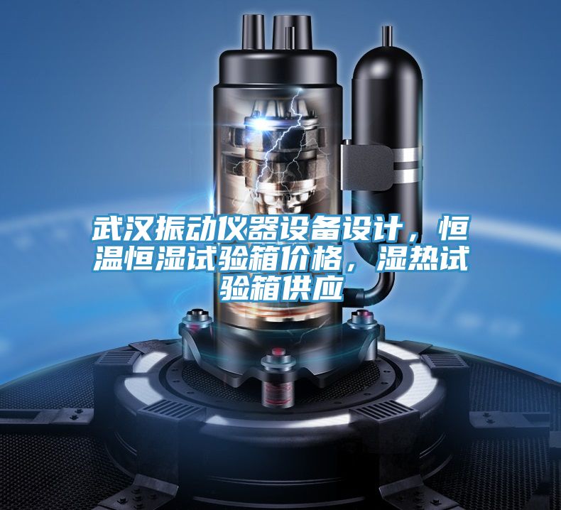 武漢振動(dòng)儀器設(shè)備設(shè)計(jì)，恒溫恒濕試驗(yàn)箱價(jià)格，濕熱試驗(yàn)箱供應(yīng)