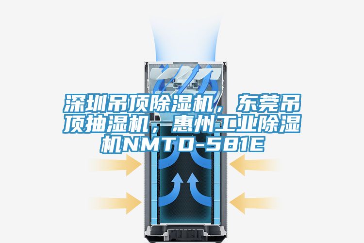 深圳吊頂除濕機(jī)，東莞吊頂抽濕機(jī)，惠州工業(yè)除濕機(jī)NMTD-581E