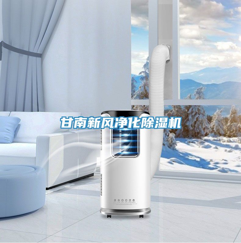 甘南新風(fēng)凈化除濕機