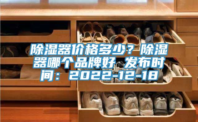 除濕器價格多少?除濕器哪個品牌好 發(fā)布時間:2022-12-18