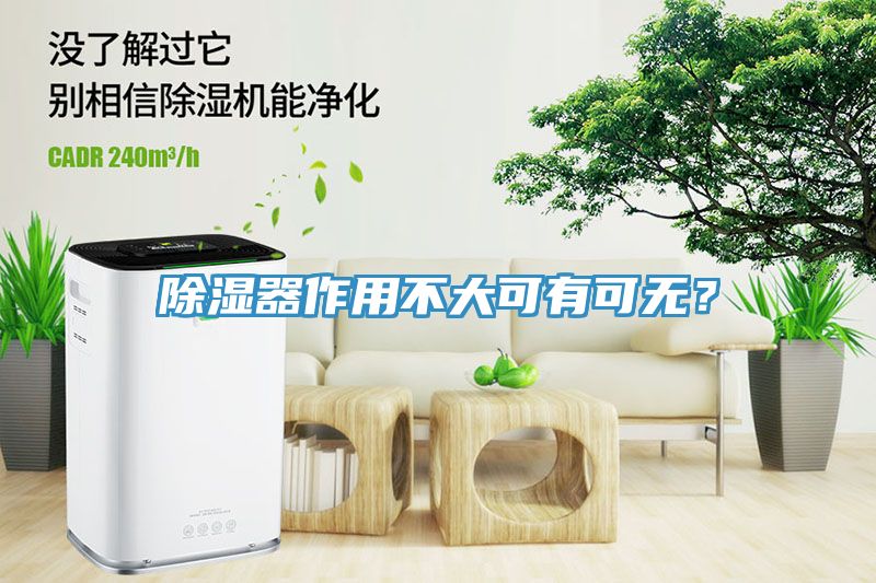 除濕器作用不大可有可無？