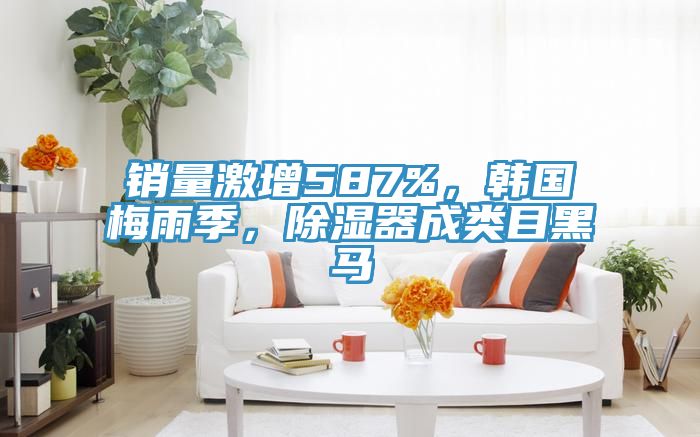 銷量激增587%,韓國梅雨季,除濕器成類目黑馬
