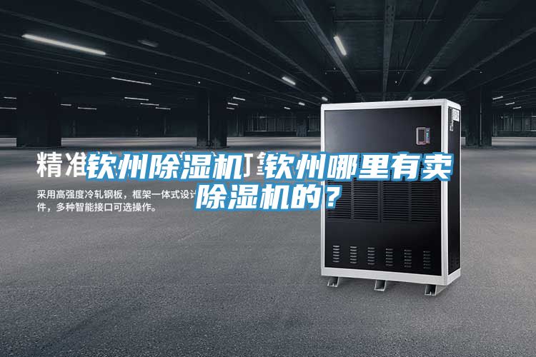 欽州除濕機 欽州哪里有賣除濕機的?