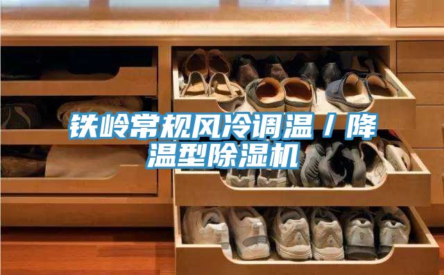 鐵嶺常規(guī)風冷調溫/降溫型除濕機
