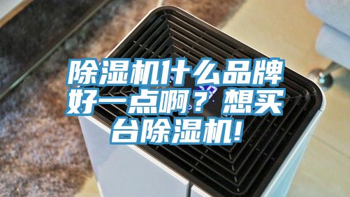 除濕機(jī)什么品牌好一點啊?想買臺除濕機(jī)!
