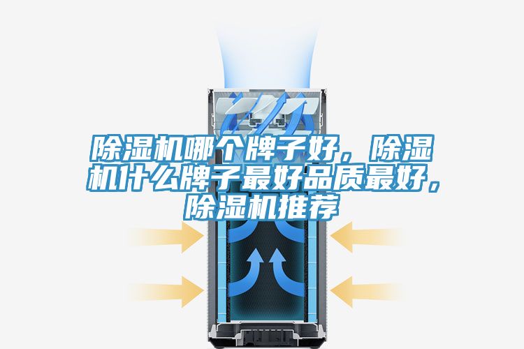 除濕機哪個牌子好，除濕機什么牌子最好品質最好，除濕機推薦