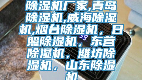 除濕機(jī)廠家,青島除濕機(jī),威海除濕機(jī),煙臺(tái)除濕機(jī)，日照除濕機(jī)，東營除濕機(jī)，濰坊除濕機(jī)，山東除濕機(jī)