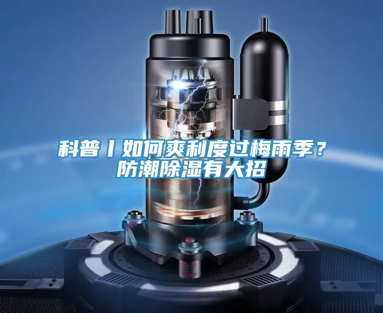 科普丨如何爽利度過梅雨季？防潮除濕有大招