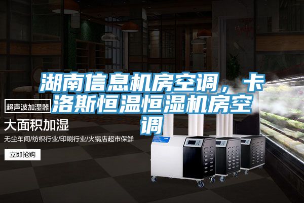 湖南信息機房空調,卡洛斯恒溫恒濕機房空調