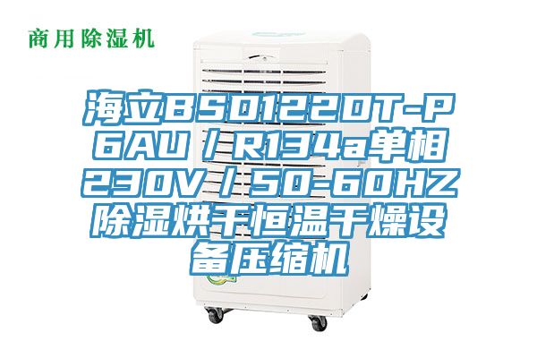 海立BSD122DT-P6AU/R134a單相230V/50-60HZ除濕烘干恒溫干燥設備壓縮機