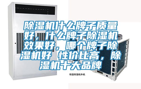 除濕機(jī)什么牌子質(zhì)量好，什么牌子除濕機(jī)效果好，哪個(gè)牌子除濕機(jī)好 性價(jià)比高，除濕機(jī)十大品牌