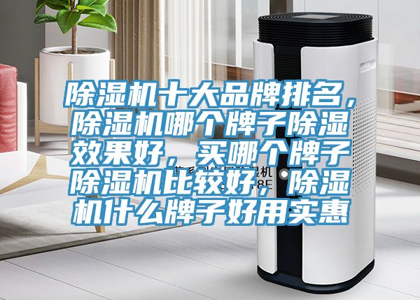 除濕機十大品牌排名,除濕機哪個牌子除濕效果好,買哪個牌子除濕機比較好,除濕機什么牌子好用實惠