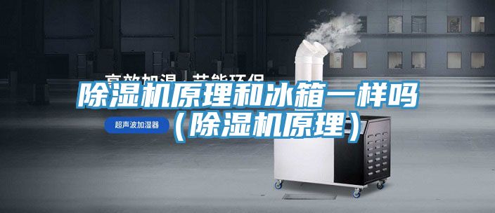 除濕機(jī)原理和冰箱一樣嗎(除濕機(jī)原理)