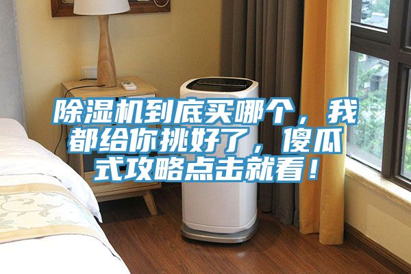 除濕機到底買哪個，我都給你挑好了，傻瓜式攻略點擊就看！