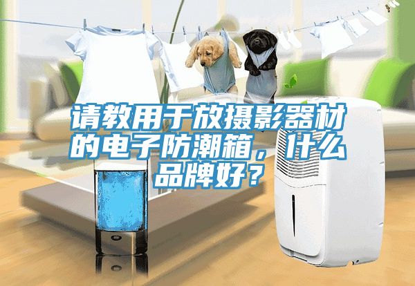 請教用于放攝影器材的電子防潮箱，什么品牌好？