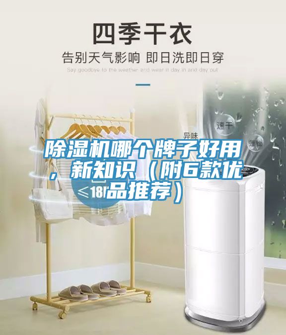 除濕機哪個牌子好用，新知識（附6款優品推薦）