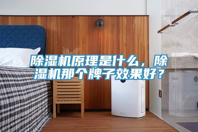 除濕機(jī)原理是什么,除濕機(jī)那個(gè)牌子效果好?