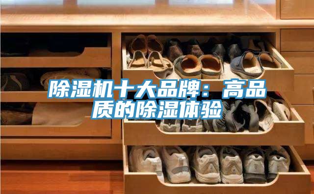 除濕機十大品牌:高品質(zhì)的除濕體驗