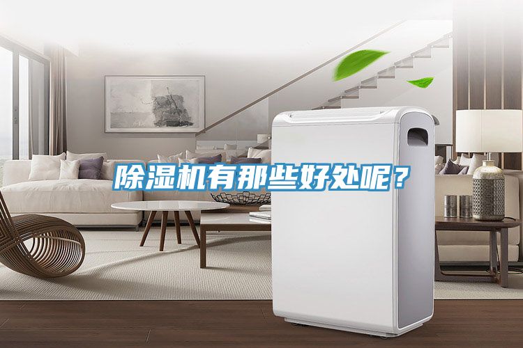 除濕機(jī)有那些好處呢?