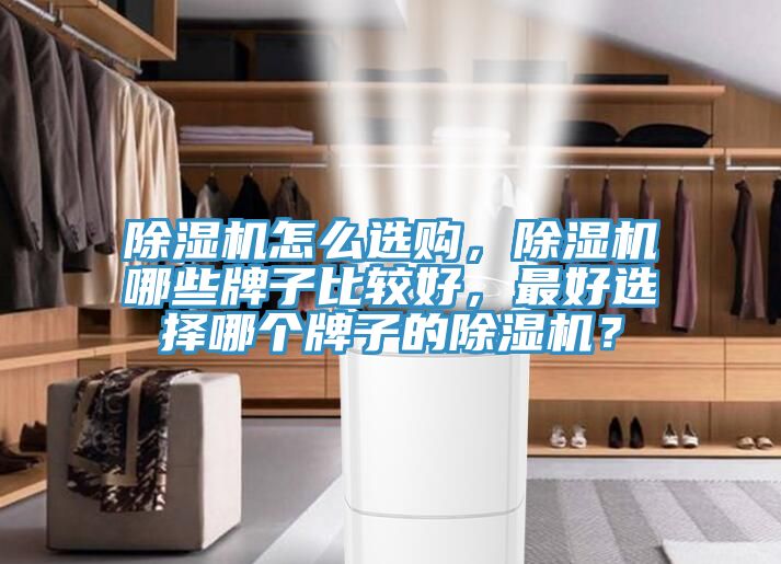 除濕機怎么選購,除濕機哪些牌子比較好,最好選擇哪個牌子的除濕機?