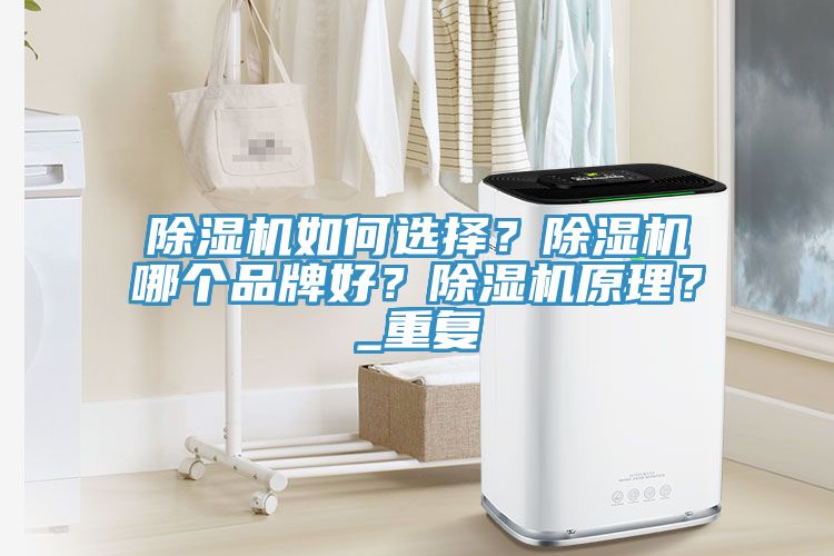 除濕機如何選擇?除濕機哪個品牌好?除濕機原理?_重復(fù)